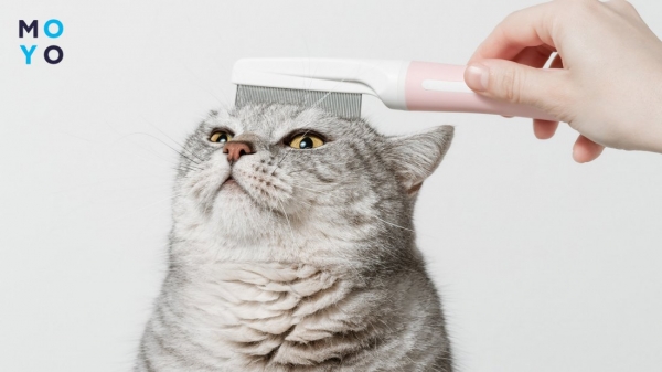 Розчісування щіткою із прямими зубчиками