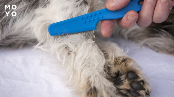 гребінці з металевими зубцями