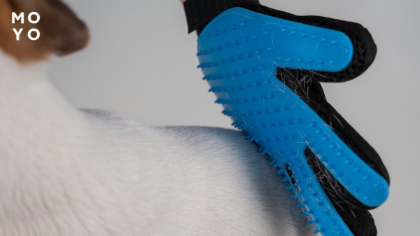масажна рукавичка для збору шерсті у собак