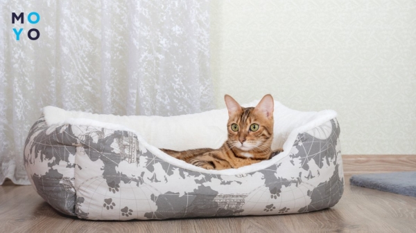 підбір розміру лежака