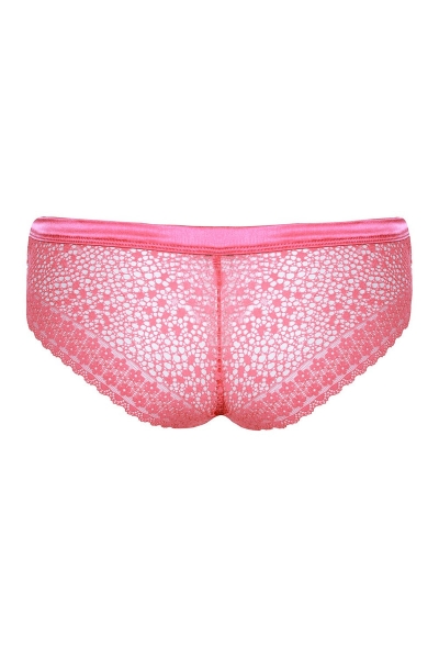 Кружевные трусики брифы SLZ21002003/003F coral