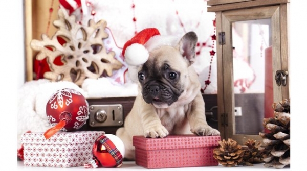 що подарувати на новий рік