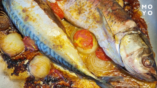 тушки скумбрії