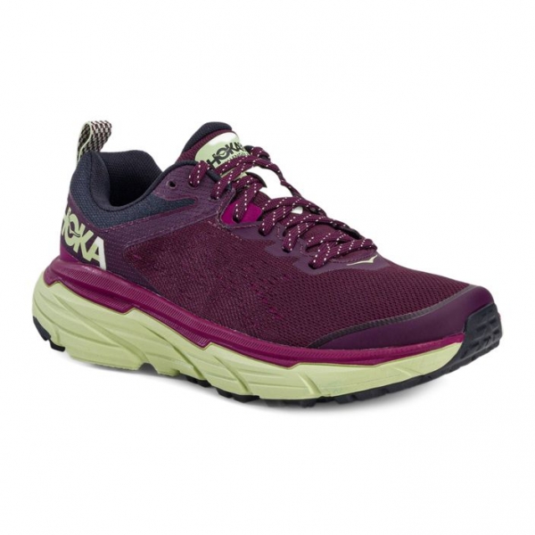 Кросівки для бігу жіночі HOKA Challenger ATR 6 бордові 1106512-GWBT 9