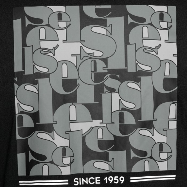 Чоловіча футболка Ellesse Holdino чорна 4