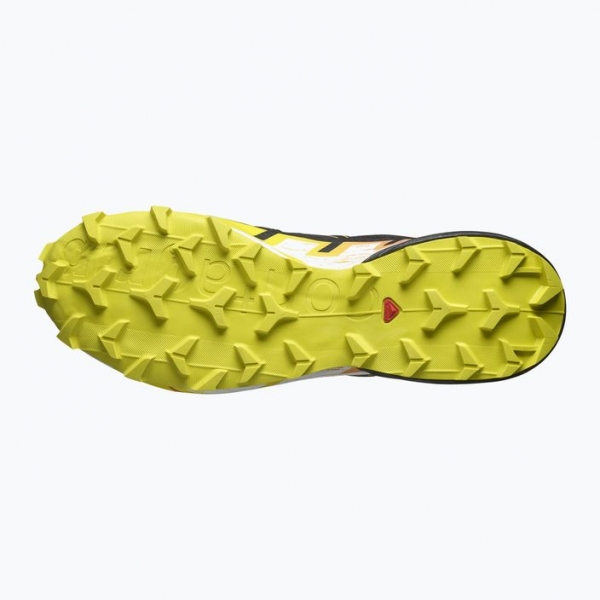 Чоловічі кросівки Salomon Speedcross 6 GTX чорні/сіра весна/райський птах 5