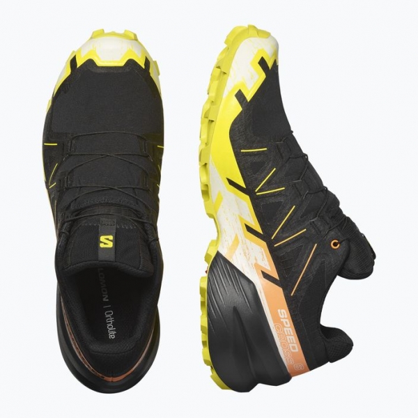 Чоловічі кросівки Salomon Speedcross 6 GTX чорні/сіра весна/райський птах 6