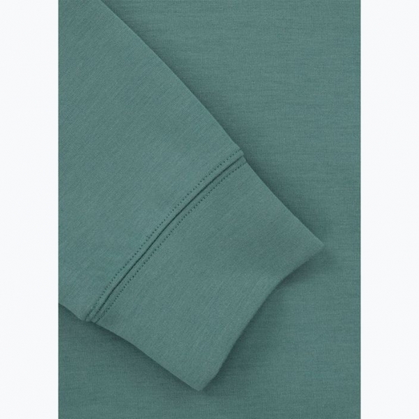 Чоловічий світшот Pitbull West Coast Explorer Crewneck м'ятний 6