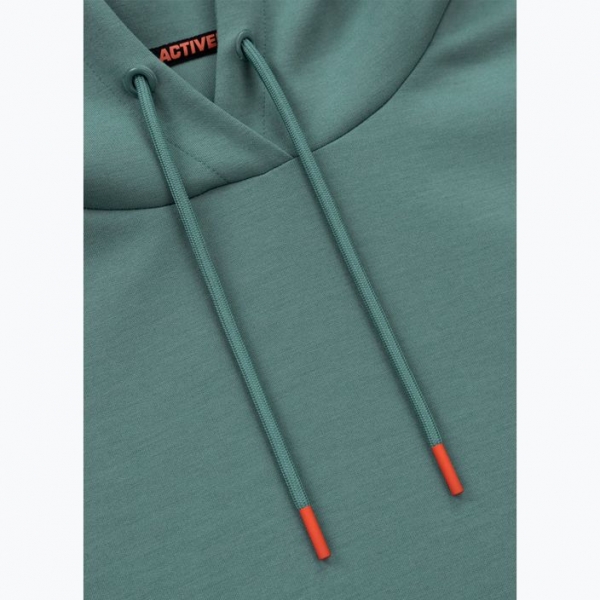 Чоловічий світшот Pitbull West Coast Explorer з капюшоном м'ятний 3