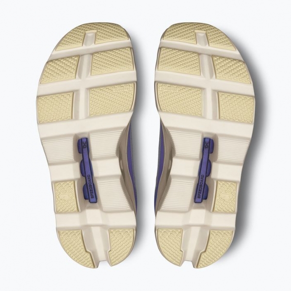 Жіночі бігові кросівки On Running Cloudmonster туман / чорниця 12